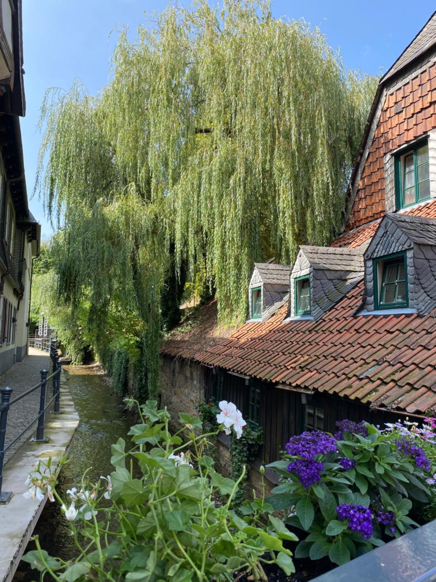 Fewo Georgenberg Goslar Exterior foto