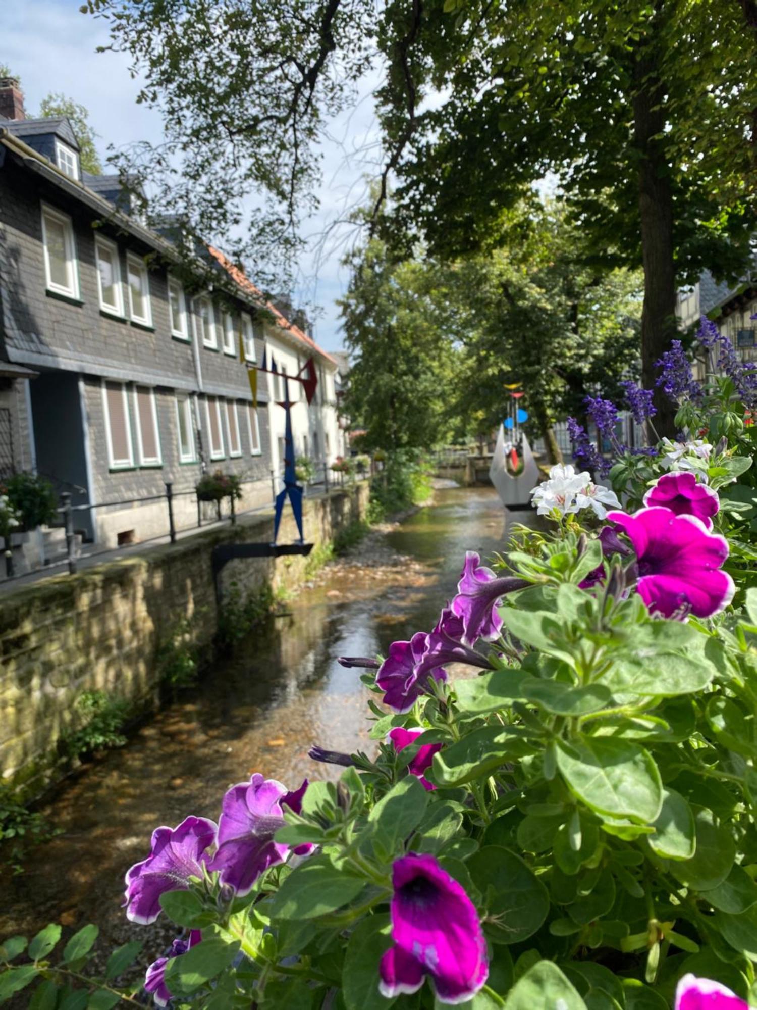 Fewo Georgenberg Goslar Exterior foto